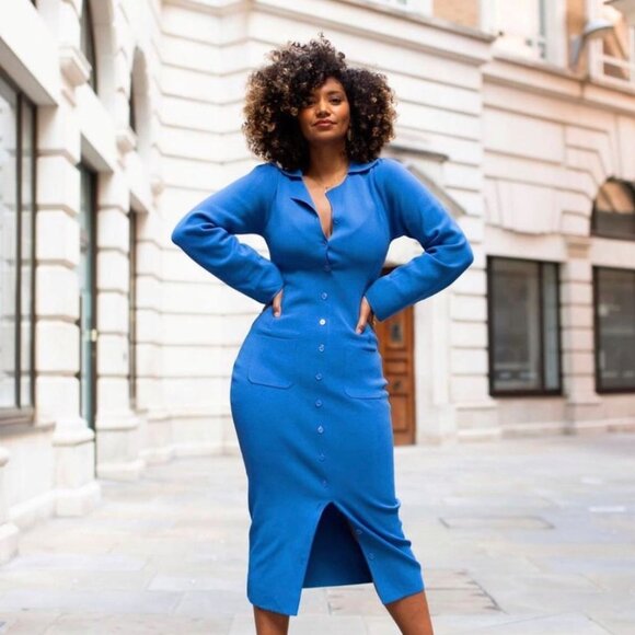 HANIFA (NWT) Cheri II Blue Long Sleeve Button Front Sheath Dress, Size XS - Picture 3 of 16